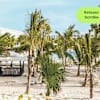 selloffvacations-prod/HOTEL CHAINS & LOGOS/Riu Hotels & Resorts/New Resort Pages/Riu Republica/Ecomm/OUTPUT/SOV_RiuRepublica_Ecomm_Carousel_1920x1080_FR_e
